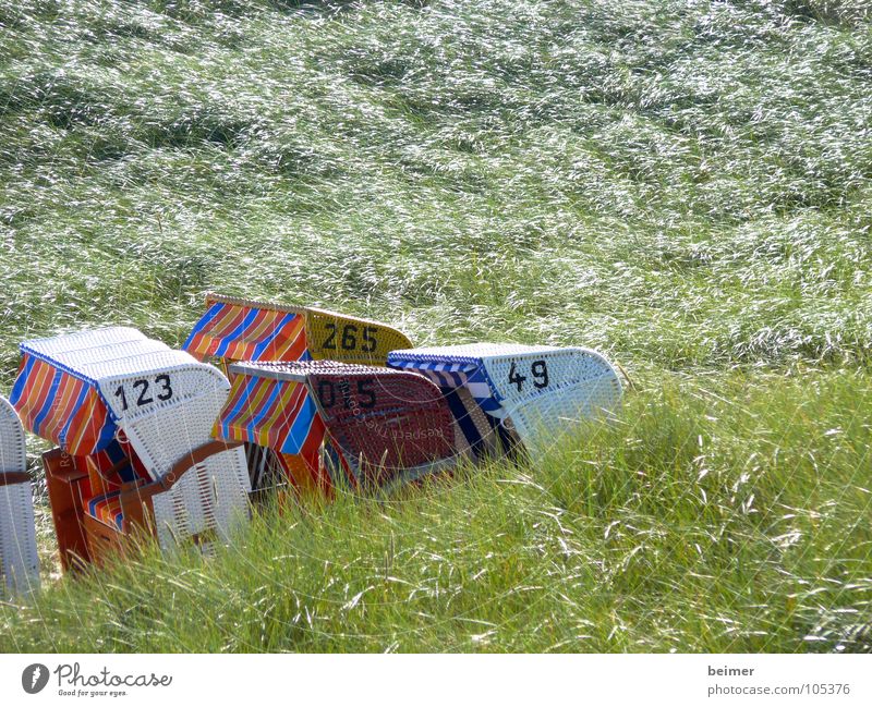 verlaufen Strandkorb Ziffern & Zahlen Gras Amrum grün Sommer Küste Stranddüne Insel Wind