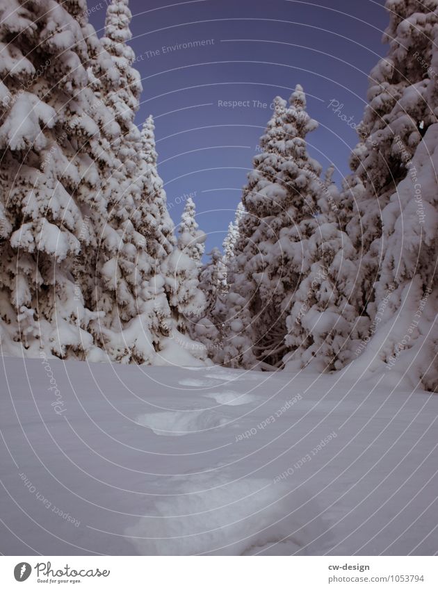 Don't eat yellow snow Ferien & Urlaub & Reisen Ausflug Winter Schnee Winterurlaub Berge u. Gebirge wandern Wintersport Natur Landschaft Wolkenloser Himmel