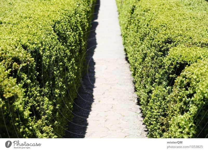 Passage I Kunst Natur Garten Park ästhetisch Symmetrie Hecke grün Gang Wege & Pfade Farbfoto Gedeckte Farben Außenaufnahme Detailaufnahme Experiment abstrakt