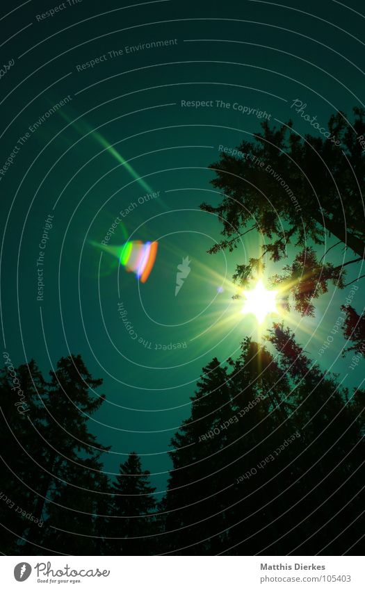 REFLEXION Wald Baum Beleuchtung Sommer Regenbogen grün rot violett regenbogenfarben schön bezaubernd wandern grell Kostbarkeit Wert Sonnenbrille Allgäu Bayern