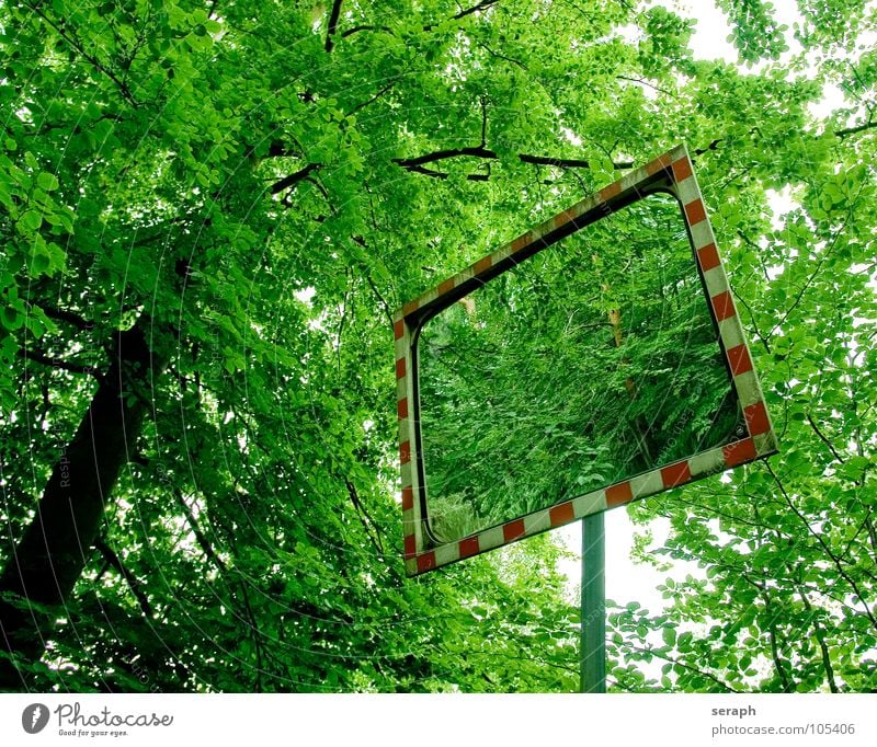 Spiegel Wald Baum Natur Lichtbrechung Reflexion & Spiegelung grün Buche Schilder & Markierungen Hinweisschild Verkehrsschild Rahmen Stab Straßenverkehr