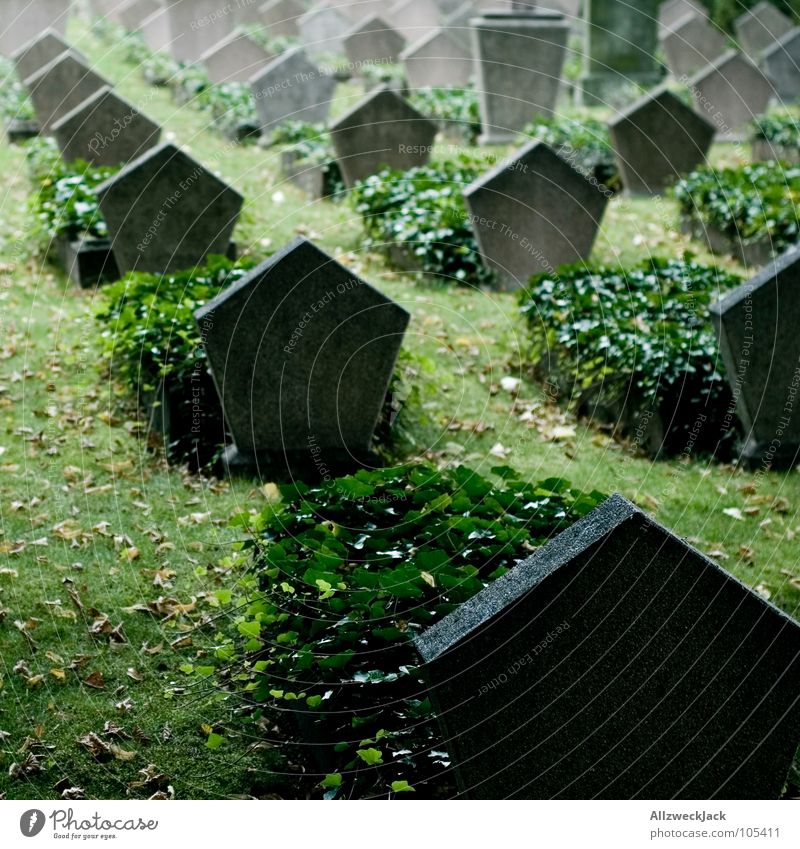 R.I.P. Tod Friedhof Grabstein Grabmal Soldatenfriedhof 2. Weltkrieg beerdigen Krieg trist Wahrzeichen Denkmal Trauer Verzweiflung Frieden armeefriedhof fünfeck