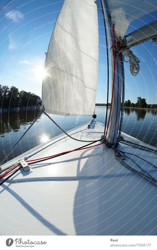 Unterwegs Freizeit & Hobby Segeln Segelboot Segelschiff Schiffsdeck Schifffahrt Wasserfahrzeug Schiffsbug Kreuzfahrt Wolkenloser Himmel Sonne Sommer