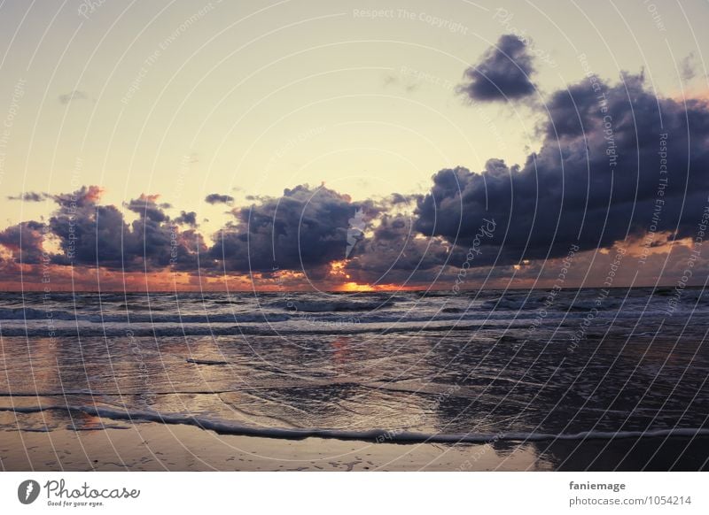 zonsondergang Natur Landschaft Urelemente Sand Wasser Himmel Wolken Nachthimmel Horizont Sonnenaufgang Sonnenuntergang Sommer Schönes Wetter Wellen Küste Ostsee