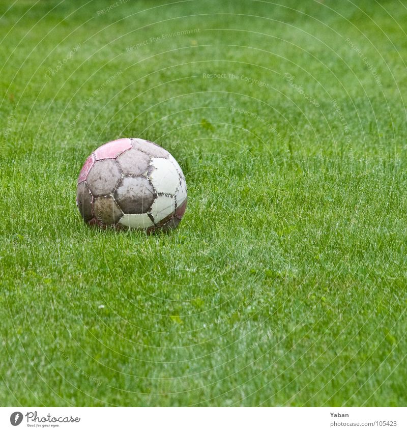 Die Angst des Torwarts ... Ball Fußball Leder Kugel Kick Elfmeter Gras Wiese Spielzug Saison grün Abseits Konzentration Ballsport Peter Handke Freistoß