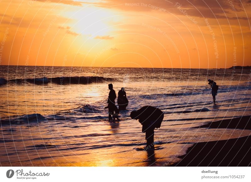 menschen am strand. Ferien & Urlaub & Reisen Sommerurlaub Strand Meer Mensch maskulin feminin Familie & Verwandtschaft 6 Schwimmen & Baden Erholung genießen