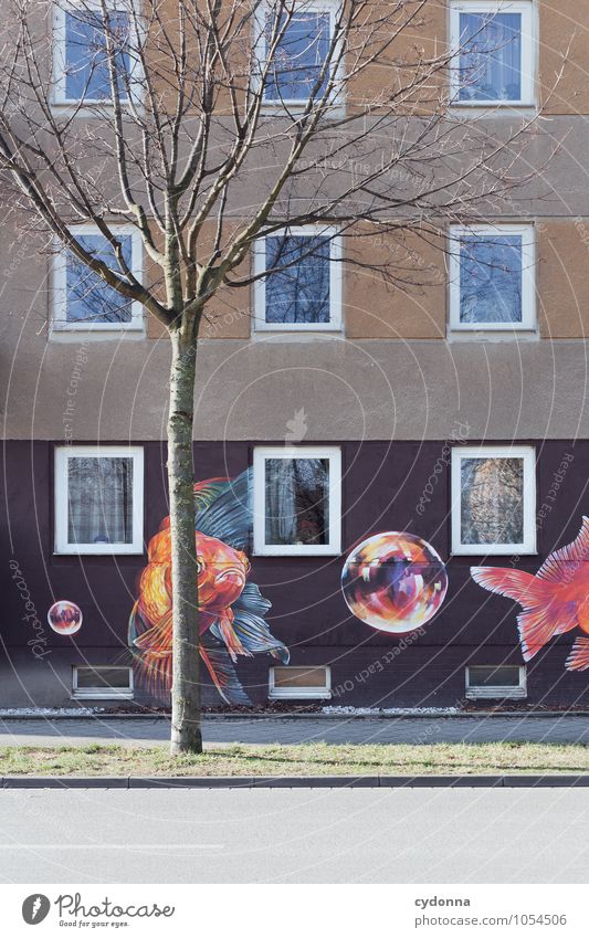 Lebensraum Lifestyle Winter Stadt Haus Architektur Mauer Wand Fassade Fenster Fisch Graffiti ästhetisch einzigartig entdecken exotisch Freiheit Idee innovativ