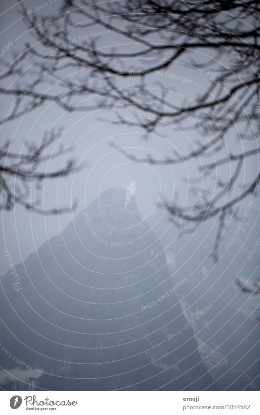 Spitze Umwelt Natur Landschaft Winter schlechtes Wetter Nebel dunkel kalt blau Farbfoto Außenaufnahme Menschenleer Dämmerung Low Key Unschärfe