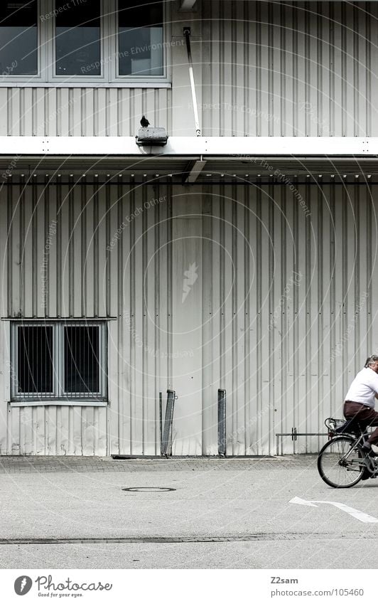 nix wie heim! Fahrrad fahren Taube sehr wenige Fenster Teer Beton Blech Wellblech Feierabend Mann maskulin Hemd vertikal einfach Rolle drahtessel Pfeil Pfosten