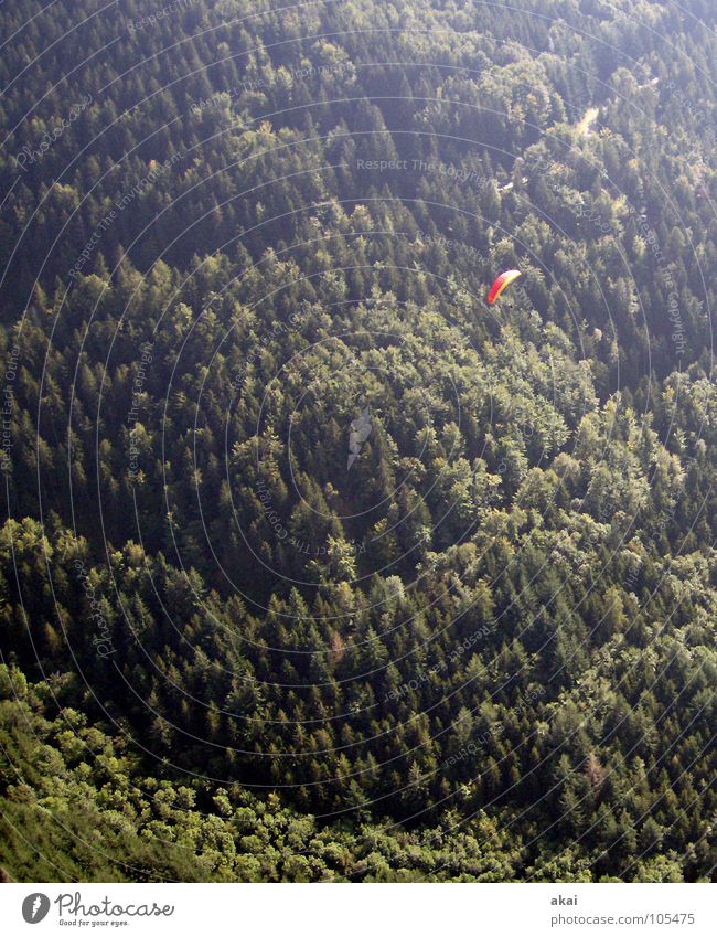 Auf der Suche Gleitschirmfliegen rot grün Farbenspiel himmelblau Romantik Sonnenlicht Abend Bronze Gefühle Schwärmerei orange Starterlaubnis Südbaden