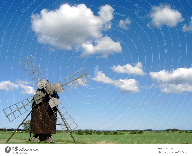 Schwedenmühle Mühle Meer Wolken Wiese Kunst Öland historisch Handwerk Müller Himmel blau Stranddüne Sehenswürdigkeit Architektur