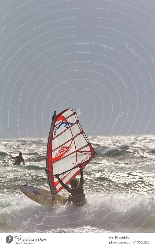 Im Surfparadies Ferien & Urlaub & Reisen Tourismus Abenteuer Ferne Freiheit Sommerurlaub Sport Wassersport Umwelt Natur Landschaft Schönes Wetter Wellen Küste