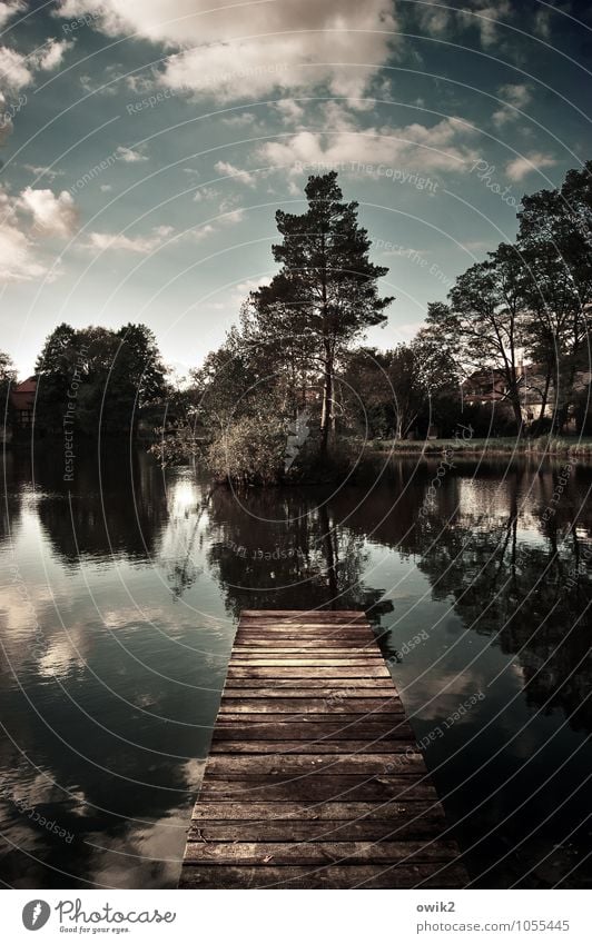 Sprungbrett Umwelt Natur Landschaft Pflanze Wasser Himmel Wolken Horizont Klima Schönes Wetter Baum Park Insel Teich Holz natürlich ruhig Idylle Steg