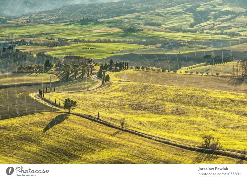 Grüne Frühlingslandschaft von Toskana, Italien. schön Ferien & Urlaub & Reisen Sommer Haus Natur Landschaft Himmel Wolken Horizont Baum Gras Wiese Hügel Straße