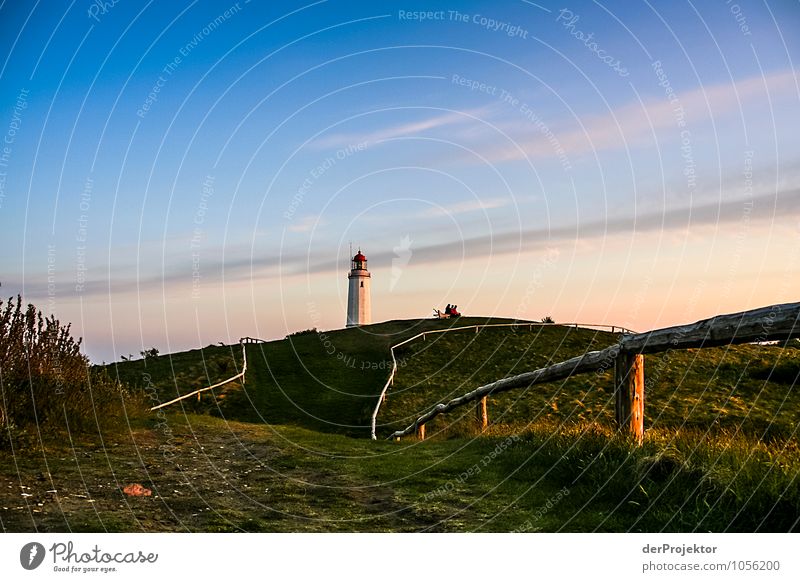 Leuchtturm Dornbusch Ferien & Urlaub & Reisen Tourismus Ausflug Abenteuer Ferne Freiheit Sightseeing Umwelt Natur Landschaft Pflanze Tier Frühling