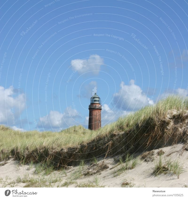 Leuchtturm Prerow Strand Fischland Weststrand Sommer Küste Ostsee Stranddüne Natur