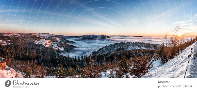 winter hike in the northern Black Forest on a sunny day ruhig Tourismus Winter Berge u. Gebirge Umwelt Natur Landschaft Wolken Baum Wald Hügel kalt grau schwarz