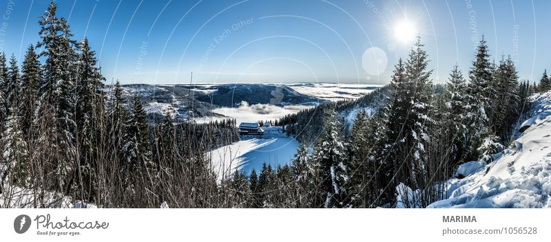 winter hike in the northern Black Forest on a sunny day ruhig Tourismus Sonne Winter Berge u. Gebirge Umwelt Natur Landschaft Wolken Baum Wald Hügel kalt grau