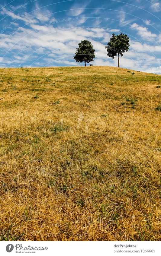 Heißer Sommer auf dem Mount Klotz V Ferien & Urlaub & Reisen Tourismus Ausflug Ferne Freiheit Sightseeing Städtereise Sommerurlaub Berge u. Gebirge wandern