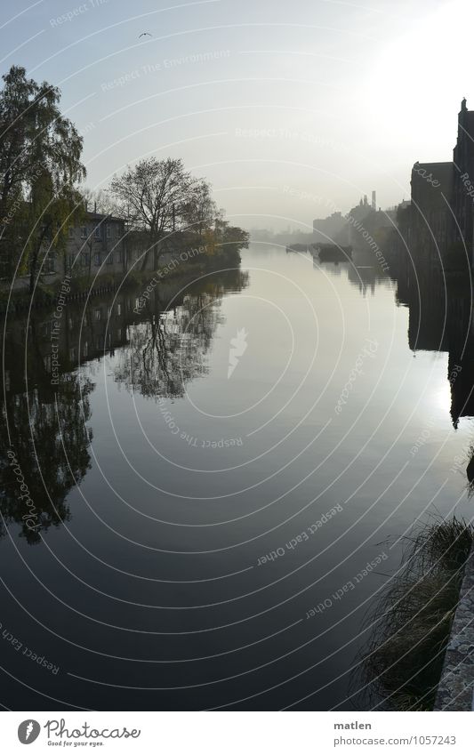 am alten Kanal Stadt Altstadt Menschenleer Haus Industrieanlage Fabrik Gebäude Mauer Wand Verkehrswege Schifffahrt Binnenschifffahrt dunkel blau grau Baum