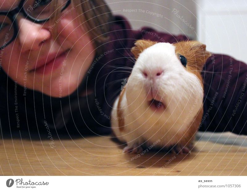 First let´s take a selfie! Mädchen 1 Mensch 8-13 Jahre Kind Kindheit 13-18 Jahre Jugendliche Tier Haustier Tiergesicht Zoo Streichelzoo Meerschweinchen Nagetier