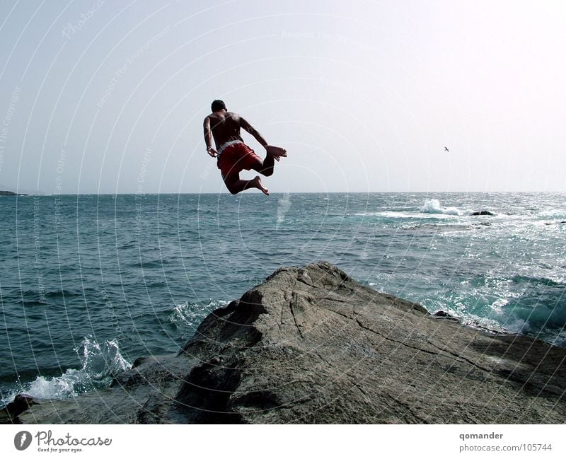 Auf dem Horizont Meer springen Klippe Wellen Brandung Vogel Wassersport Kraft Stein schwarzer Fels Himmel Vulkangestein blau Schwimmen & Baden