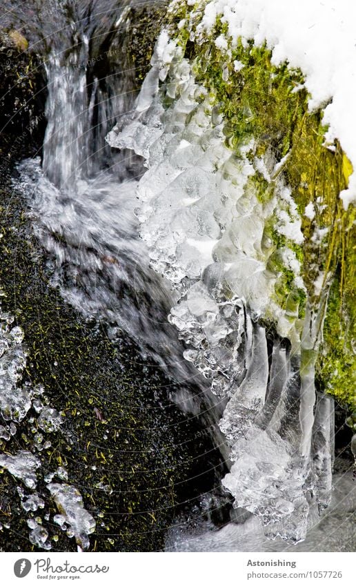 eisig Umwelt Natur Landschaft Pflanze Wasser Winter Wetter Eis Frost Schnee Gras Moos Grünpflanze Fluss Wasserfall Stein frisch hell kalt grün schwarz weiß