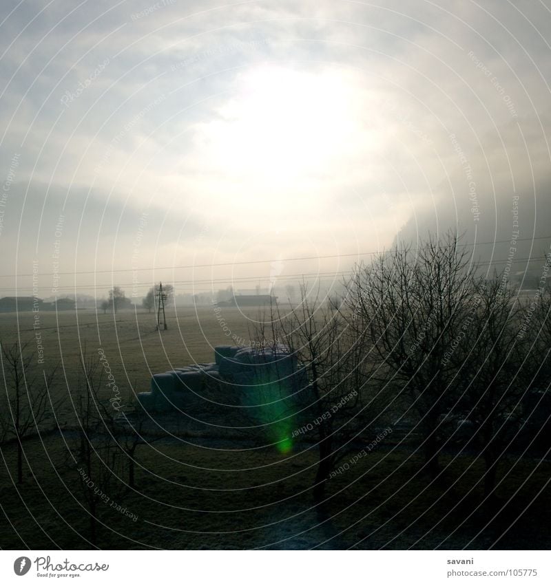 Licht und Gegenlicht! ruhig Sonne Winter Natur Landschaft Himmel Wolken Schönes Wetter Nebel Baum Feld kalt Einsamkeit Österreich Morgennebel Strommast Tal