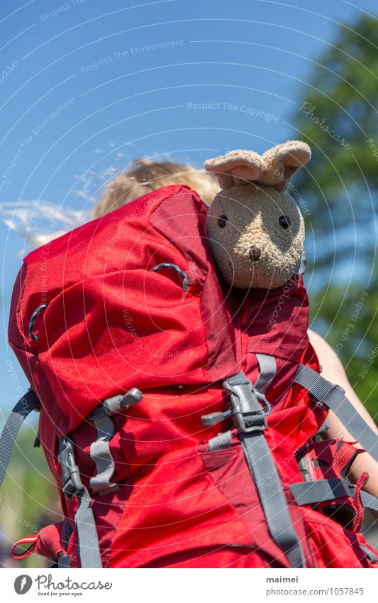 Nicht ohne Hasi Ausflug wandern Kind Mädchen Kindheit 1 Mensch 3-8 Jahre Park Straße Rucksack blond langhaarig Teddybär Stofftiere gehen kuschlig niedlich rot