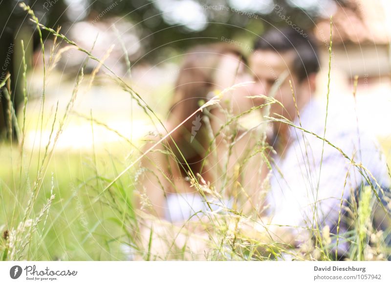 Wiesenromantik maskulin feminin Junge Frau Jugendliche Junger Mann Erwachsene Paar Partner 2 Mensch 18-30 Jahre Natur Frühling Sommer Schönes Wetter Garten Park