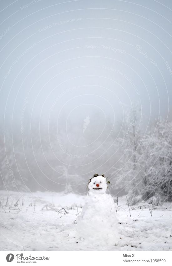 Servus Freizeit & Hobby Spielen Winter Schnee Winterurlaub Garten Weihnachten & Advent Silvester u. Neujahr Mensch 1 Himmel Wetter Eis Frost Schneefall