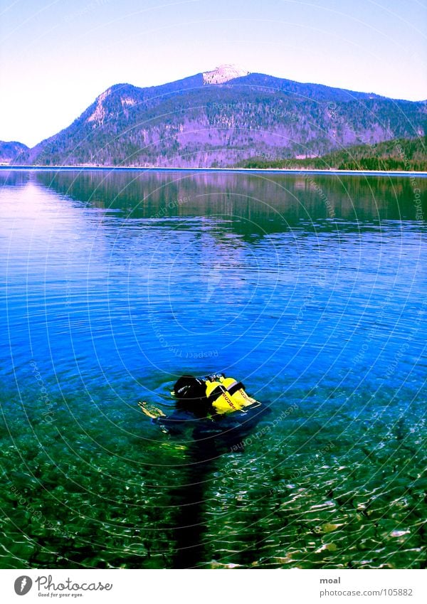 Dive your dream! tauchen See träumen Taucher ruhig Ferien & Urlaub & Reisen Luft Sport Spielen Snowblind Berge u. Gebirge Natur Wasser Moal Freiheit