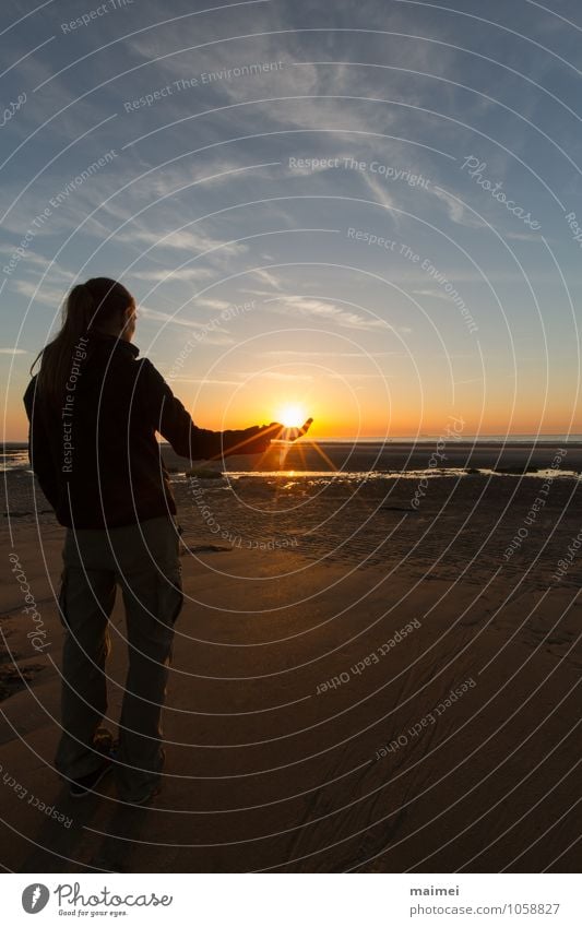 Eine Hand voll Sonne Erholung Strand Meer Mensch Frau Erwachsene 1 30-45 Jahre Sand Wasser Horizont Sonnenaufgang Sonnenuntergang Schönes Wetter festhalten