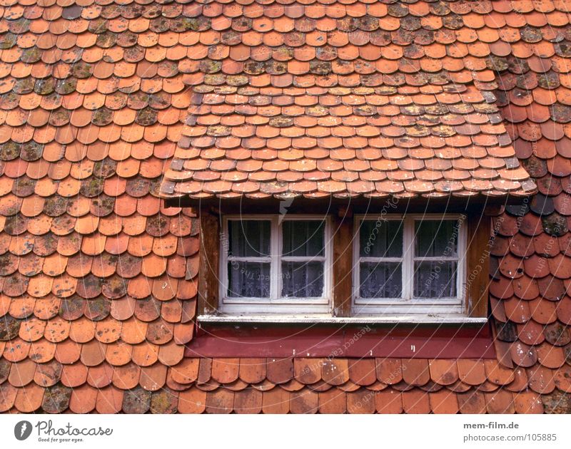 dachfenster Dachgaube Dachfenster Backstein Haus Holz Dachfirst Muster Fenster Dachziegel Detailaufnahme alt Biberschwänze Hütte Stein Fliesen u. Kacheln