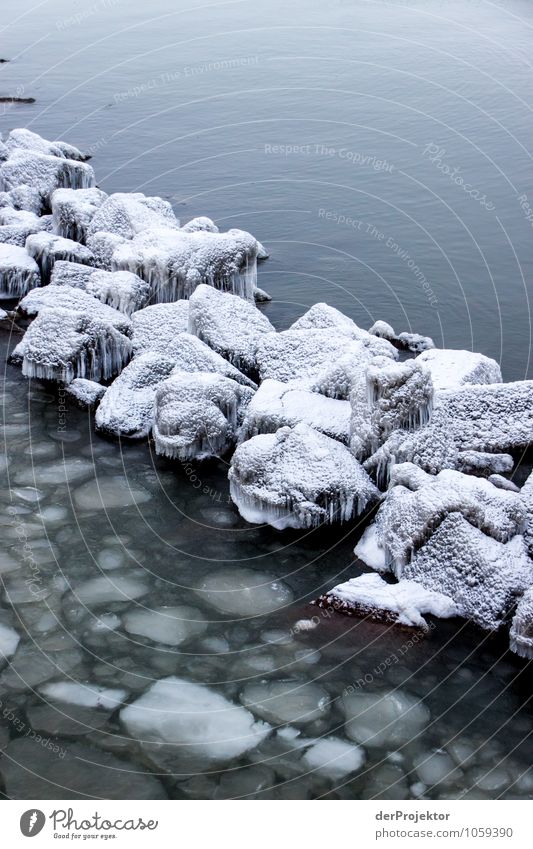 Grenze aus Eis Ferien & Urlaub & Reisen Tourismus Ausflug Abenteuer Winterurlaub Umwelt Natur Landschaft Pflanze Tier Urelemente Schönes Wetter