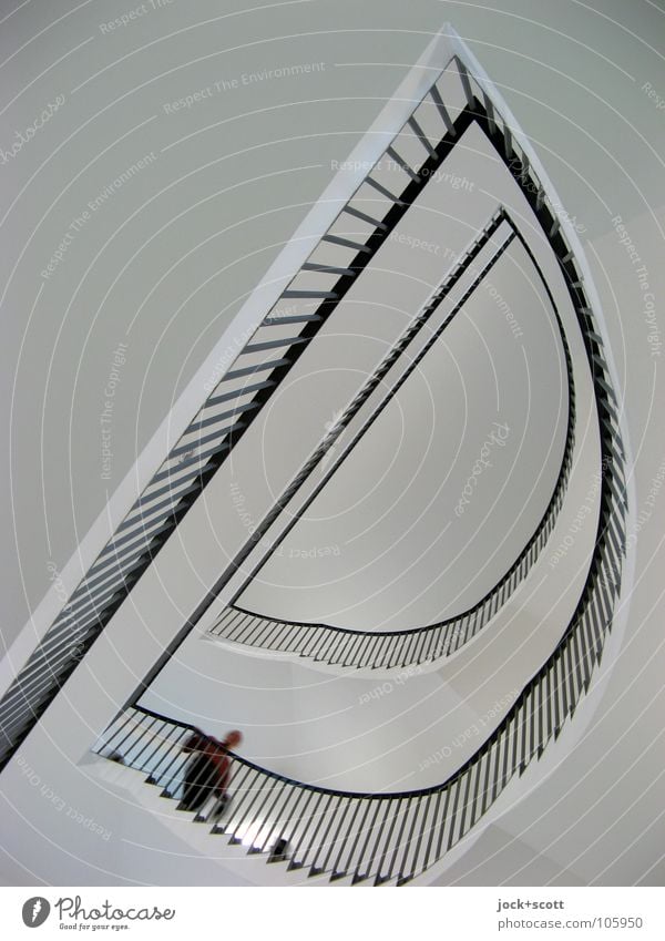 Treppe nehmen Burg oder Schloss Architektur Treppenhaus Halbkreis hoch modern Symmetrie Wege & Pfade Ecke geschwungen abstrakt Hintergrund neutral Kunstlicht