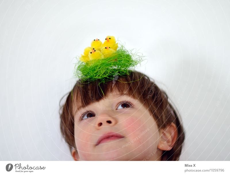 Kopfschmuck Ostern Mensch Kind Kleinkind 1 1-3 Jahre 3-8 Jahre Kindheit Hut Vogel Tiergruppe Tierjunges lustig Gefühle Stimmung Tierliebe Horst Nest Küken