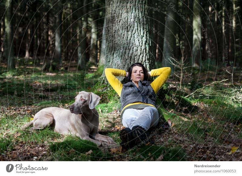 In Gedanken...... harmonisch Sinnesorgane Erholung ruhig wandern Mensch feminin Frau Erwachsene Leben Erde Baum Wald Wege & Pfade Tier Hund beobachten liegen