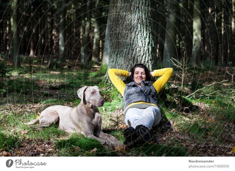 Auszeit Lifestyle harmonisch Wohlgefühl Sinnesorgane Erholung ruhig Mensch feminin Frau Erwachsene Leben 1 Natur Baum Moos Wald Tier Haustier Hund beobachten