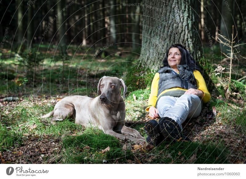 Schaltbubu | Den Tag verträumen harmonisch Erholung ruhig Ausflug wandern Mensch feminin Frau Erwachsene Natur Landschaft Sommer Baum Wald Tier Haustier Hund