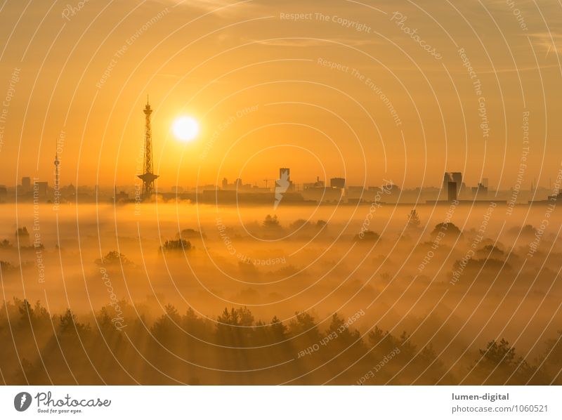 Sonnenaufgang über Berlin Wolken Nebel Baum Wald Deutschland Stadt Hauptstadt Hochhaus Turm Dach Sehenswürdigkeit Vorfreude Bild aufwachen fernsehturm Funkturm