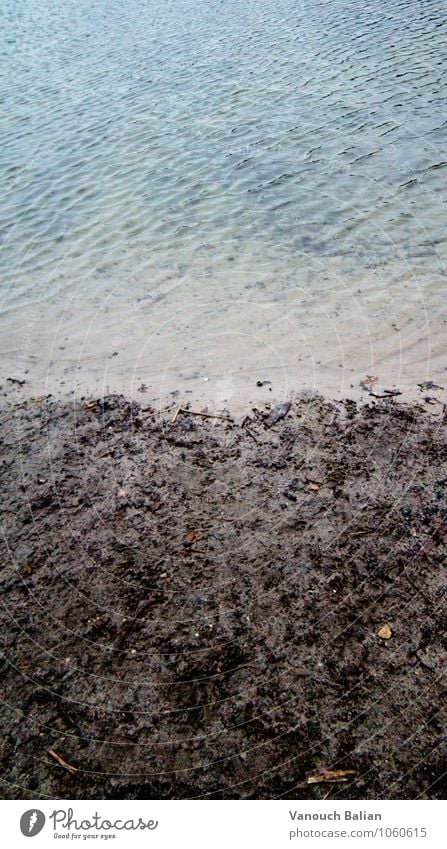 Ursuppe Erde Sand Wasser ruhig Schlamm Wellen blau Strömung Schlick Zweige u. Äste Kompost Farbfoto