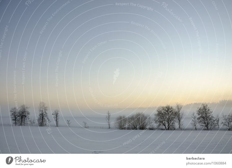 Winterruhe Landschaft Luft Himmel Schönes Wetter Schnee Baum Sträucher Flussufer leuchten hell kalt Stimmung ruhig Natur Umwelt Ferne harmonisch Gedeckte Farben