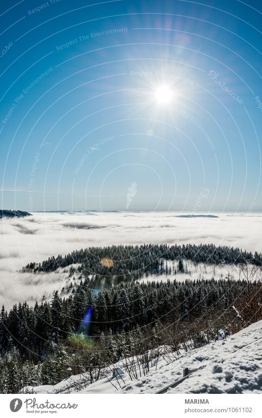 winter hike in the northern Black Forest on a sunny day ruhig Tourismus Sonne Winter Berge u. Gebirge Umwelt Natur Landschaft Wolken Baum Wald Hügel kalt grau