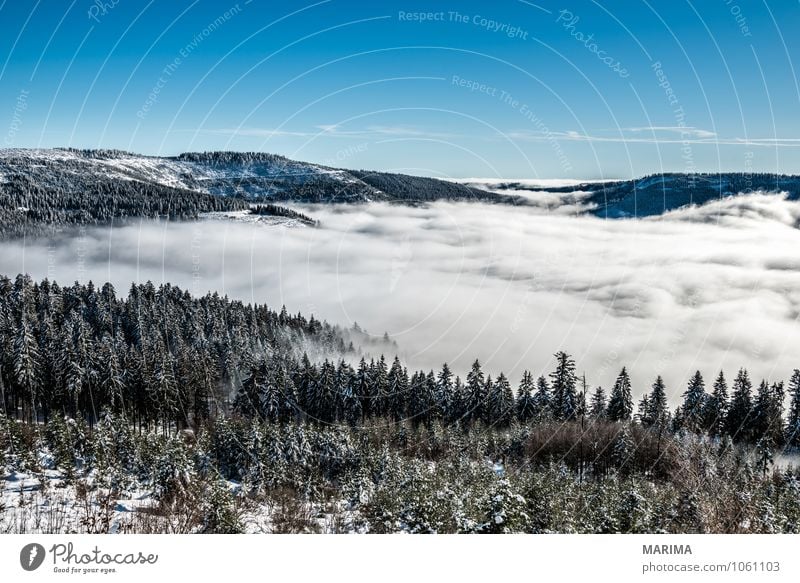 winter hike in the northern Black Forest on a sunny day ruhig Tourismus Winter Berge u. Gebirge Umwelt Natur Landschaft Wolken Baum Wald Hügel kalt grau schwarz