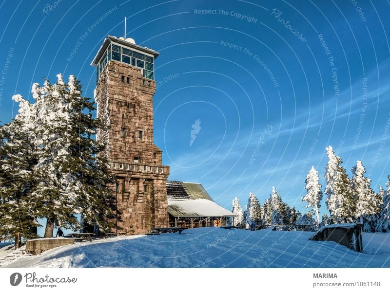 winter hike in the northern Black Forest on a sunny day ruhig Tourismus Winter Berge u. Gebirge Umwelt Natur Landschaft Wolken Baum Wald Hügel kalt grau schwarz