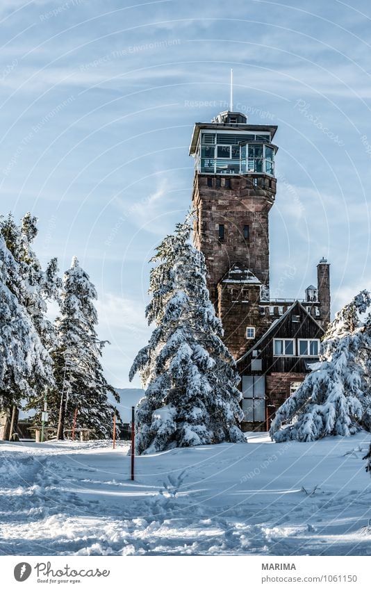 winter hike in the northern Black Forest on a sunny day ruhig Tourismus Winter Berge u. Gebirge Umwelt Natur Landschaft Wolken Baum Wald Hügel Wege & Pfade kalt