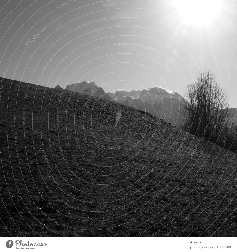 Hüttengaudi | Wo is denn jetz de Hüttn? Landschaft Urelemente Himmel Wolkenloser Himmel Sonnenlicht Schönes Wetter Sträucher Wiese Felsen Alpen Berge u. Gebirge