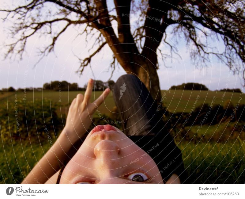 Peace Baum Hügel Frieden Hand schön Frau Himmel Landschaft Ich Beine Kopf Zeichen