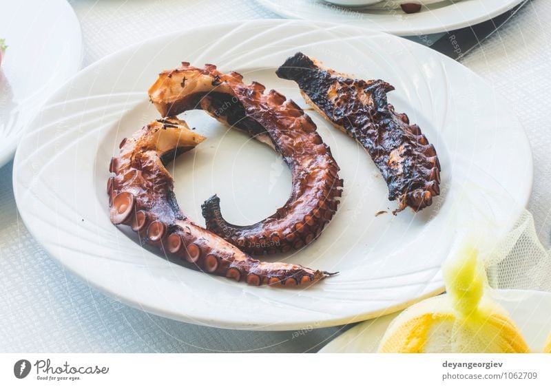 Oktopus in einem griechischen Restaurant. Weißer Tisch. Meeresfrüchte Mittagessen Abendessen Diät Teller Kultur Tier einfach lecker weiß Octopus Griechen